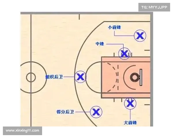 NBA指数分析深度解析 如何通过数据预测比赛走势与球队表现 NBA指数分析深度解析 如何通过数据预测比赛走势与球队表现